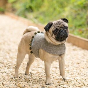 Mutts&Hounds - 'Grey Tweed Pompom Harness' X Small