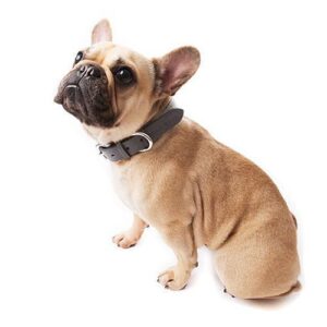 Mutts&Hounds - 'Stoneham Dog Collar' Small