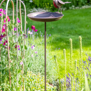 Robin Birdtable