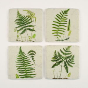 Fern Coasters