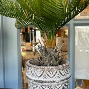 Decorative pot (Artificial plant sold separate)