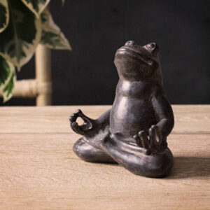 " Zen Frog"