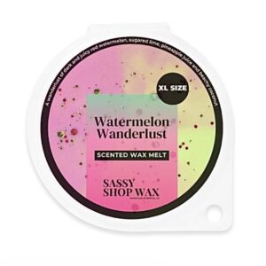 Sassy Shop „Watermelon wanderlust” wax melt