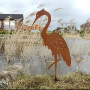 Rusty Heron