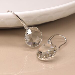 Pom Silver Plated Large Round Faceted Crystal Earings