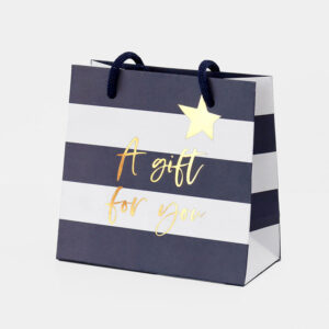 Small Gift Bag "A Gift For You" Blue Stripe