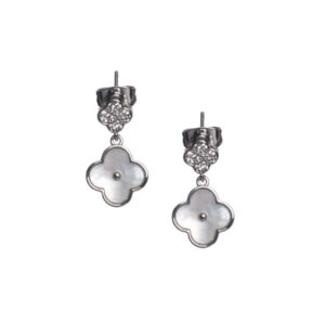 Aryanna earrings-silver