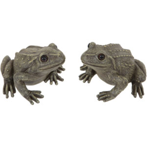 Large frog (Sold individually)