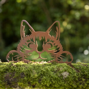 Peeking Cat A