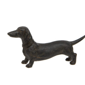 Mini Dachshund